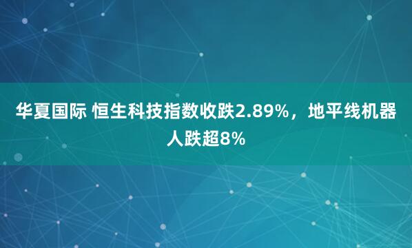 华夏国际 恒生科技指数收跌2.89%，地平线机器人跌超8%