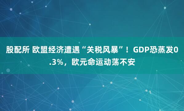 股配所 欧盟经济遭遇“关税风暴”!GDP恐蒸发0.3%,欧元命运动荡不安